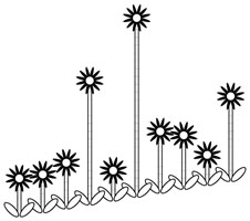 leaves